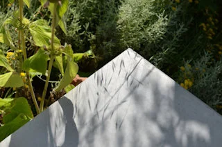 Allerlei - Mortsel 1