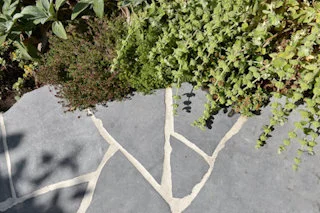 Allerlei - Mortsel 2