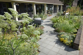 Geneeskunde voor het Volk - 2