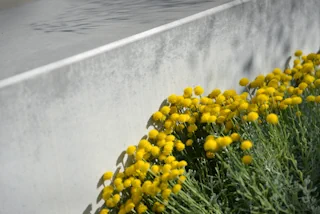 Geneeskunde voor het Volk - 4