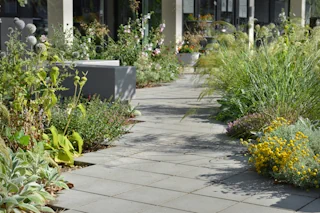 Geneeskunde voor het Volk - 5