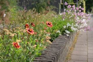 Geneeskunde voor het Volk - 6